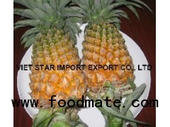 Fresh Pineapples Fruit