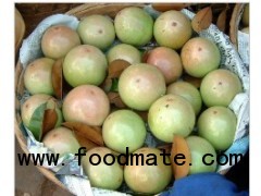 Fresh Star Apple Fruit