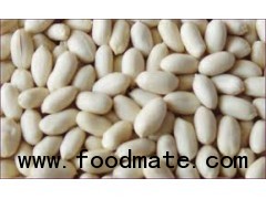 BLANCHED PEANUTS 41-51