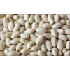 BLANCHED PEANUTS 41-51