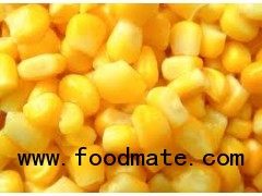 Sweet Corn