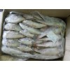 frozen croaker fish