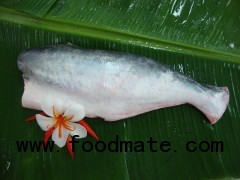 pangasius HGT