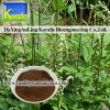 black cohosh extract