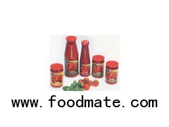 Best selling and high quality ketchup