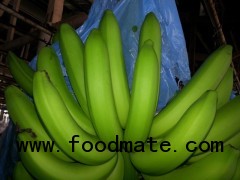 Fresh Cavendish Banana