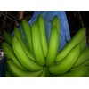 Fresh Cavendish Banana