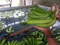 fresh green Banana