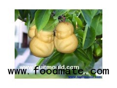 fruit molds  shaped fruits molds