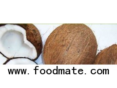 fresh brown young coconut