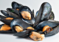 mussels