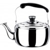 stainless steel whistling kettle