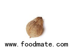 Fresh Semi husked Indian mature Coconut