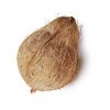 Fresh Semi husked Indian mature Coconut