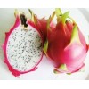 Vietnamese Dragon fruit