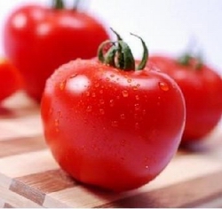 tomato