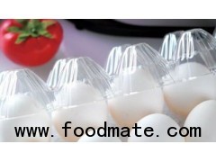 Plastic Egg Tray