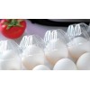 Plastic Egg Tray