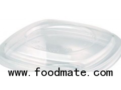 Plastic salad container