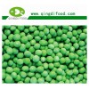 IQF GREEN PEA