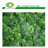 IQF BROCCOLI FLORETS