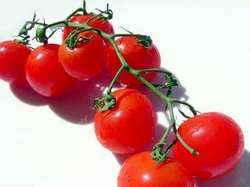 Organic tomatoes