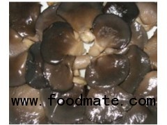 Oyster Mushroom (Pleurotus) in brine