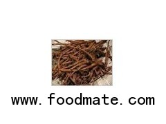 Dandelion Root