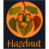 Hazelnut Coffee