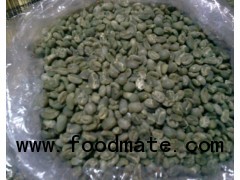Green Bean Robusta and Arabica
