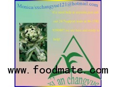5% Cynarin Caffeoylquinicacid artichoke extract