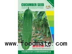 ZY oil-green HQ big cucumber seed(128)