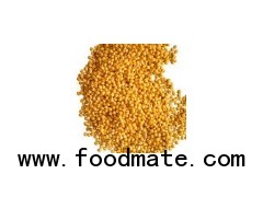 Hulled Glutinous Broom Corn Millet