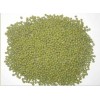 Green mung bean