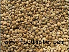 robusta coffee