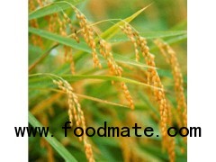 Long grain rice