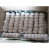 chinese garlic for sale