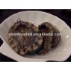 Frozen Abalone cooked and uncooked