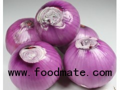 red onion,fresh vegetable,vegetables