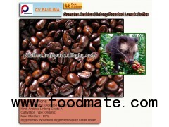 100 % Pure Luwak Roasted Coffee Bean From Sumatra