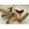 canned mackerel fried