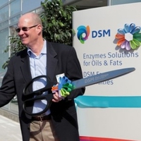 DSM