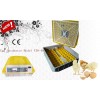 2013 hot sale automatic mini  Egg Incubator YZ8-48(CE Approved )