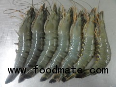 Black tiger shrimps