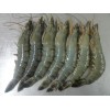 Black tiger shrimps