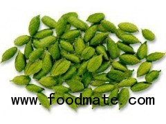 Green Cardamom