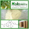 Functional Sweetener Naringin Dihydrochalcone