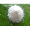 Desiccated Coconut Powder