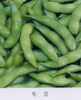 Frozen Soybean in pods/Frozen Soybean kernels