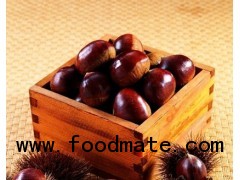 Raw Fresh Chinese Chestnut kernel Big Sale